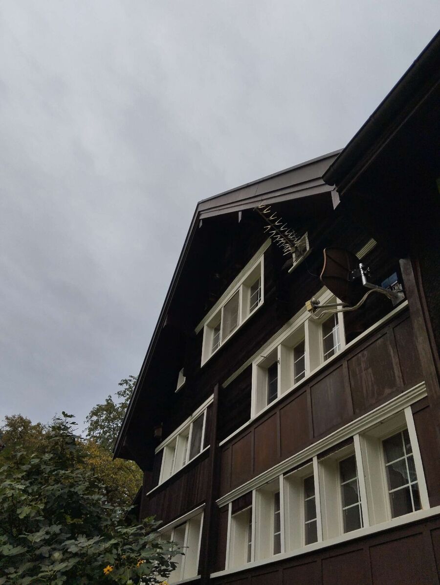 Bee nest at the house remove