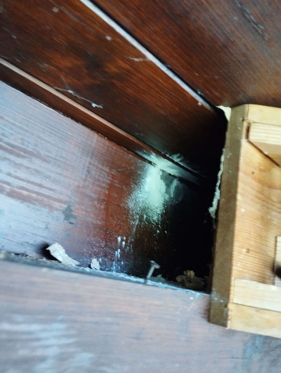 Bee nest at the house remove