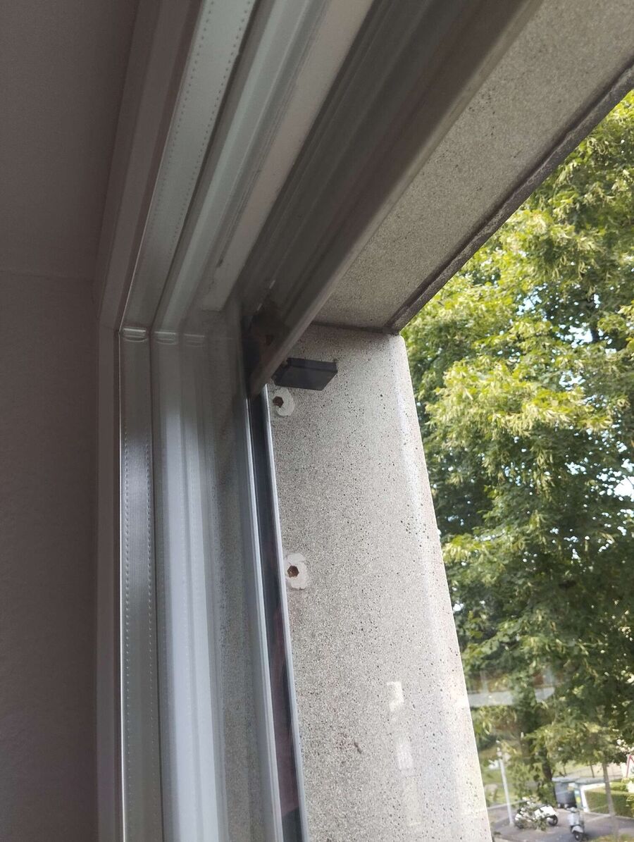 Relocate bees & remove bee nest