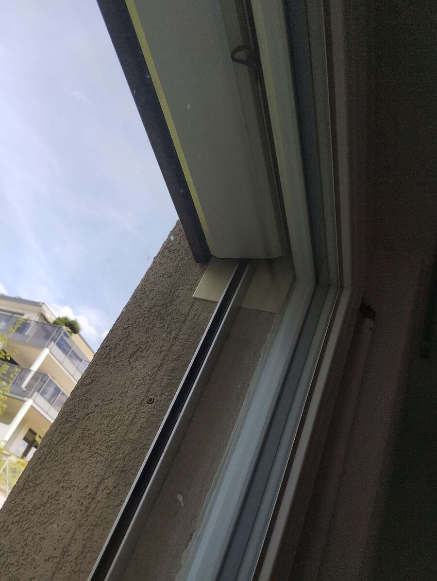 Bee nest at the house remove