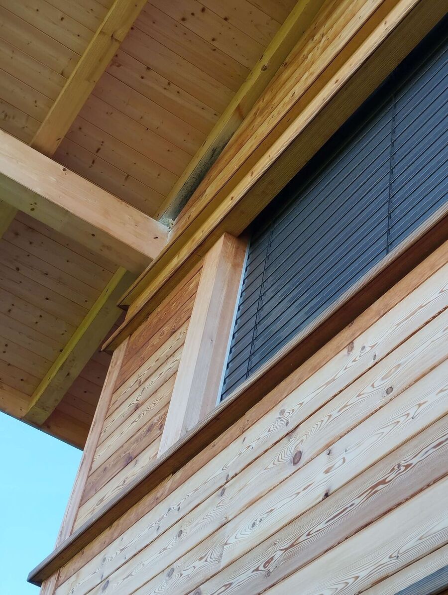 Bee nest at the house remove