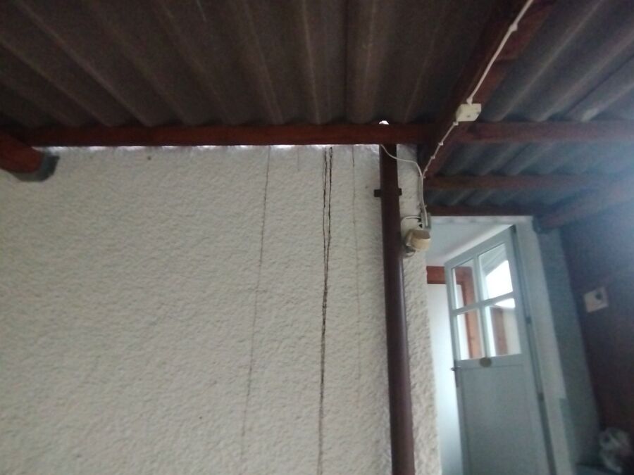 Bee nest at the house remove