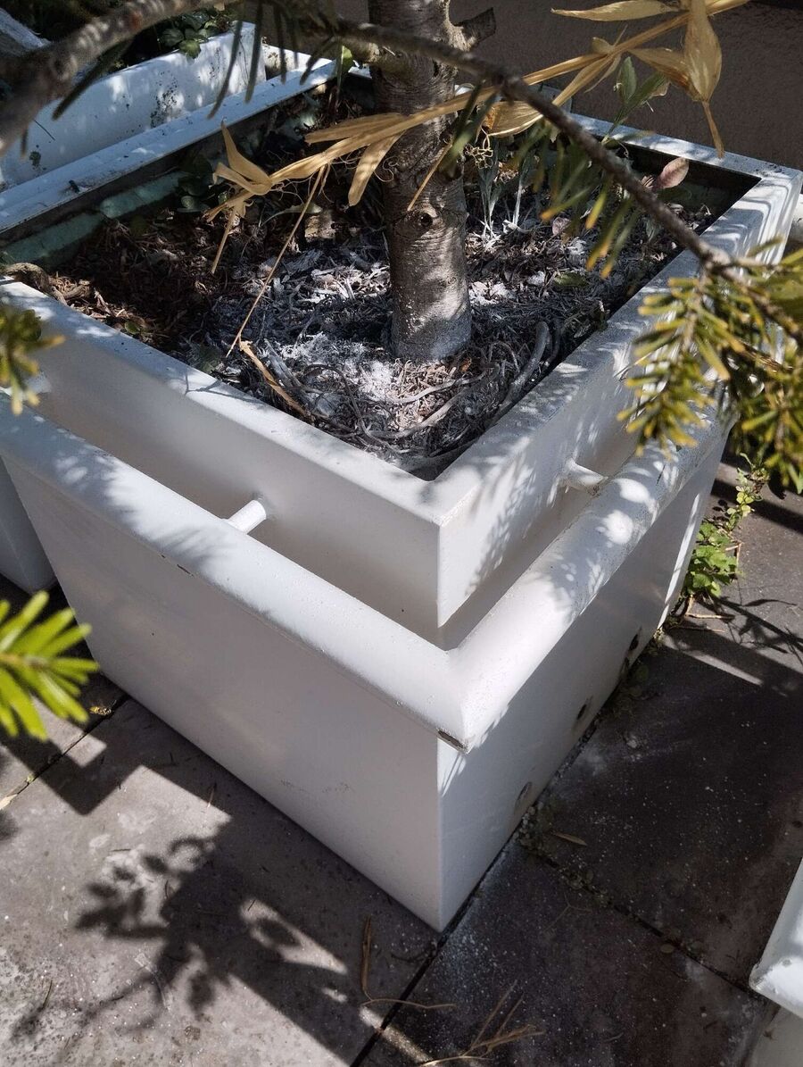 Bee nest at the house remove