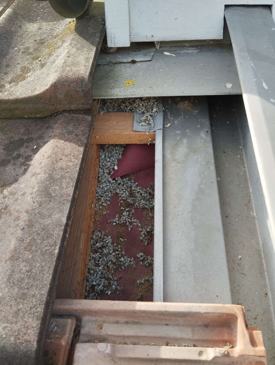 Bee nest at the house remove