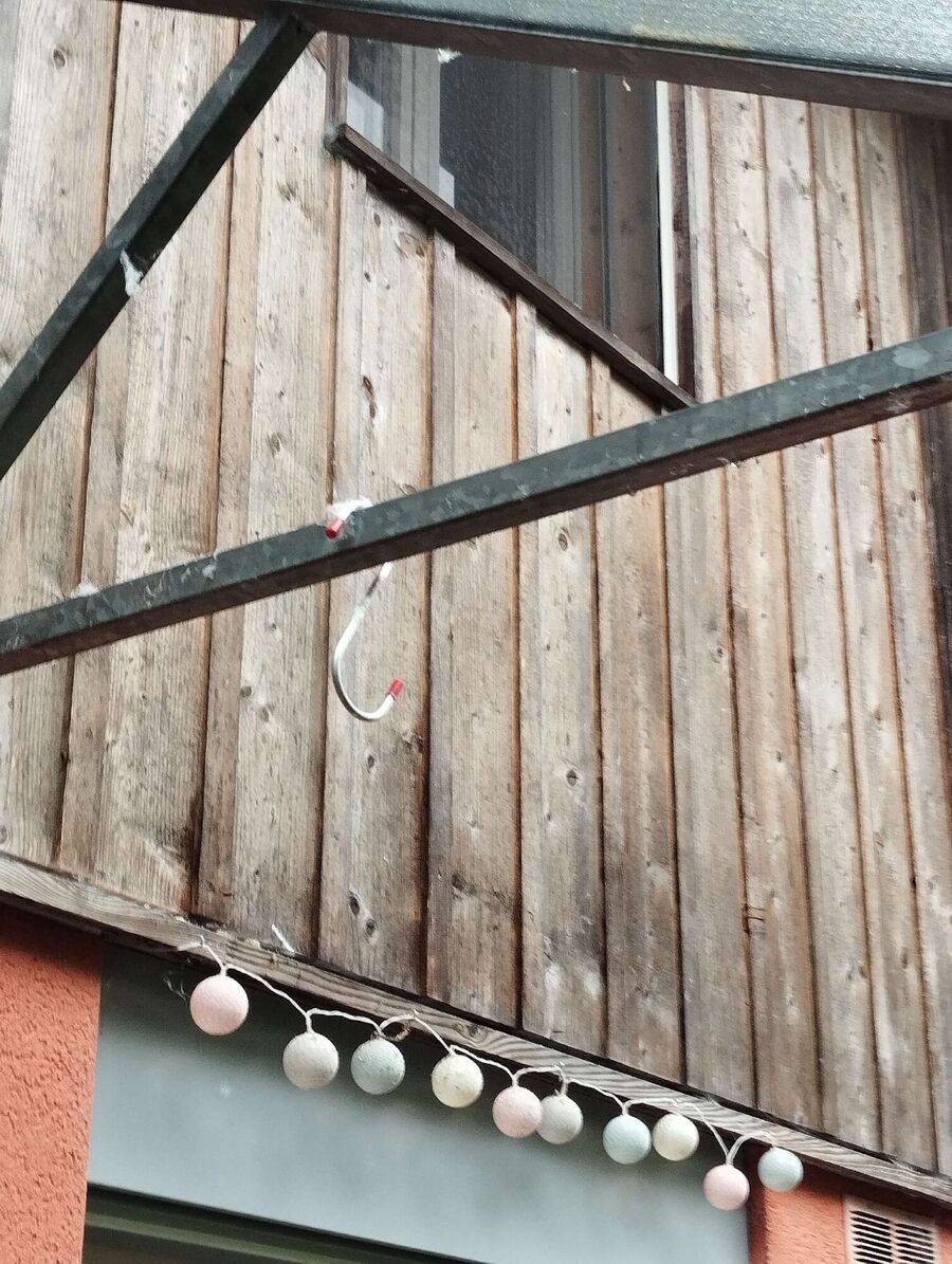 Bee nest at the house remove