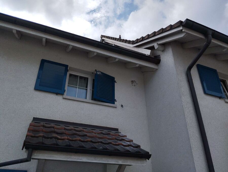 Bee nest at the house remove