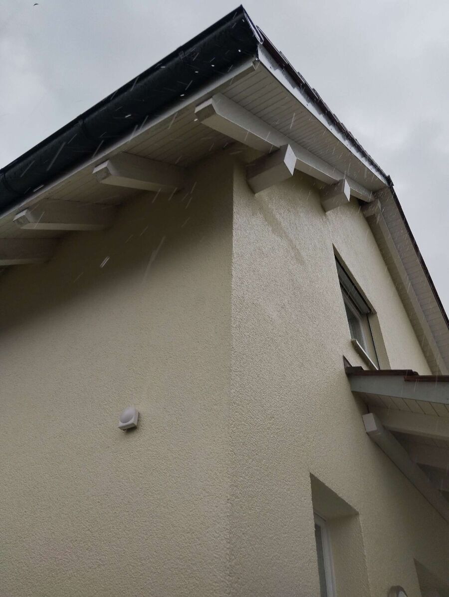 Bee nest at the house remove