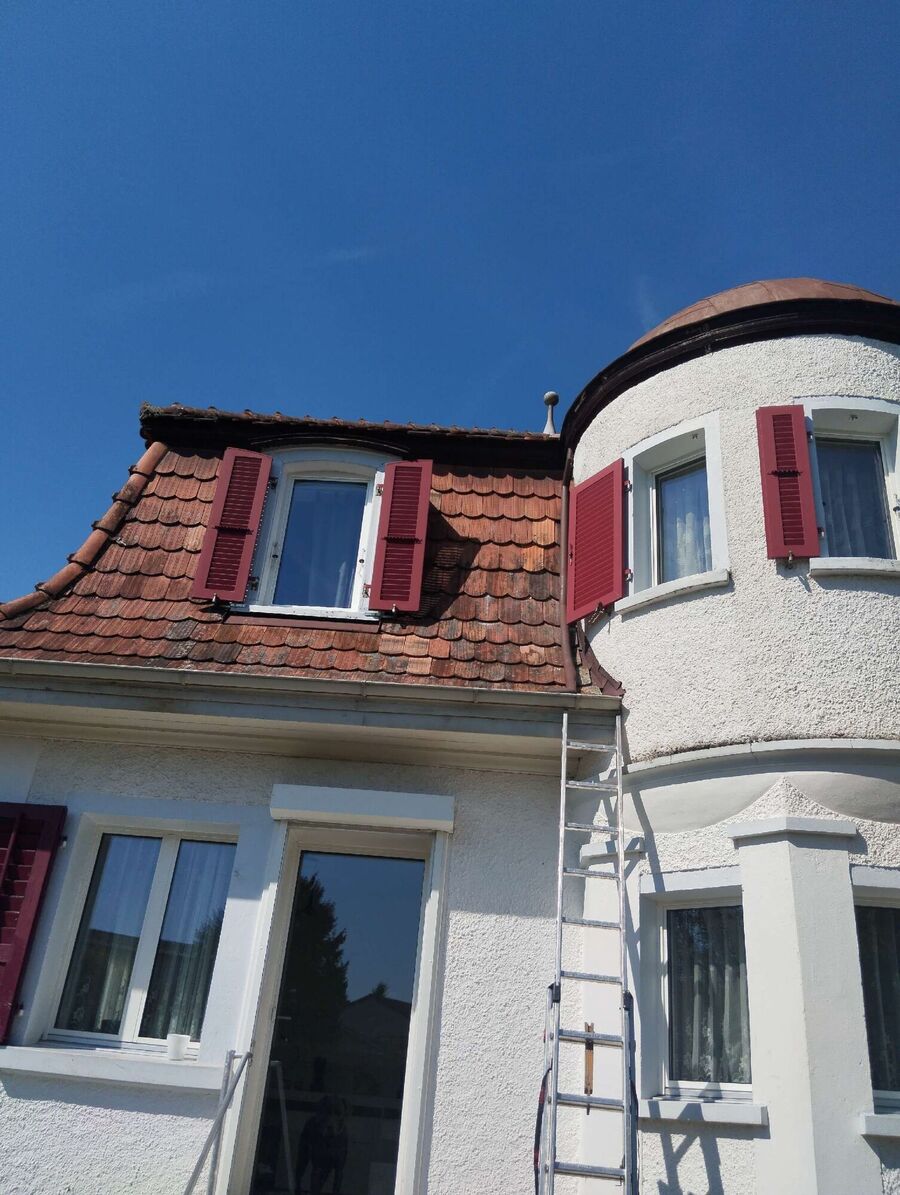 Bee nest at the house remove