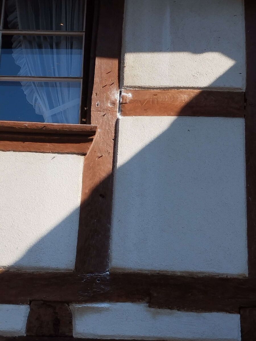 Bee nest at the house remove