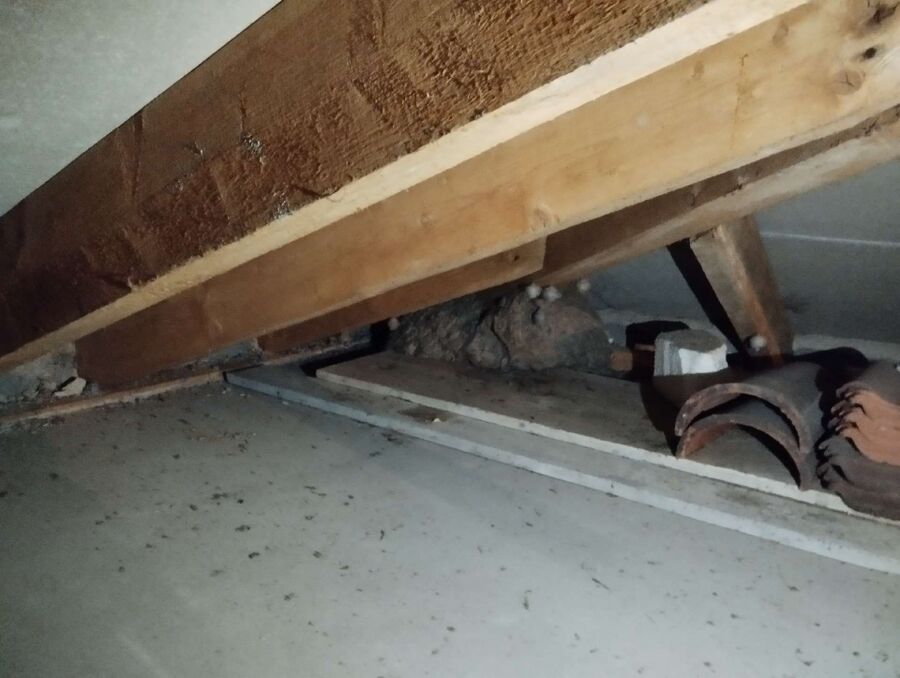 Bee nest at the house remove