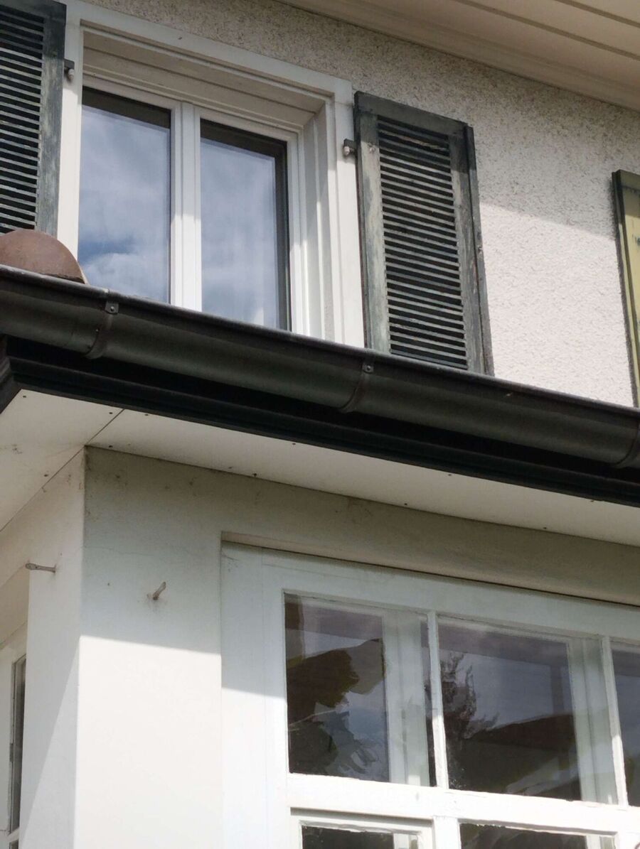 Bee nest at the house remove