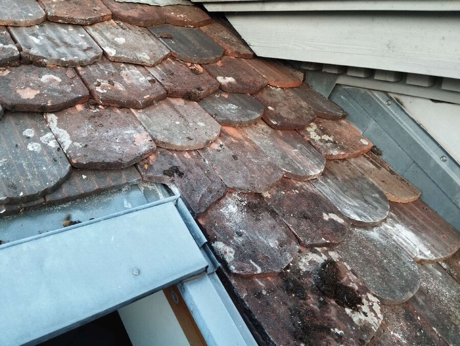 Bee nest at the house remove