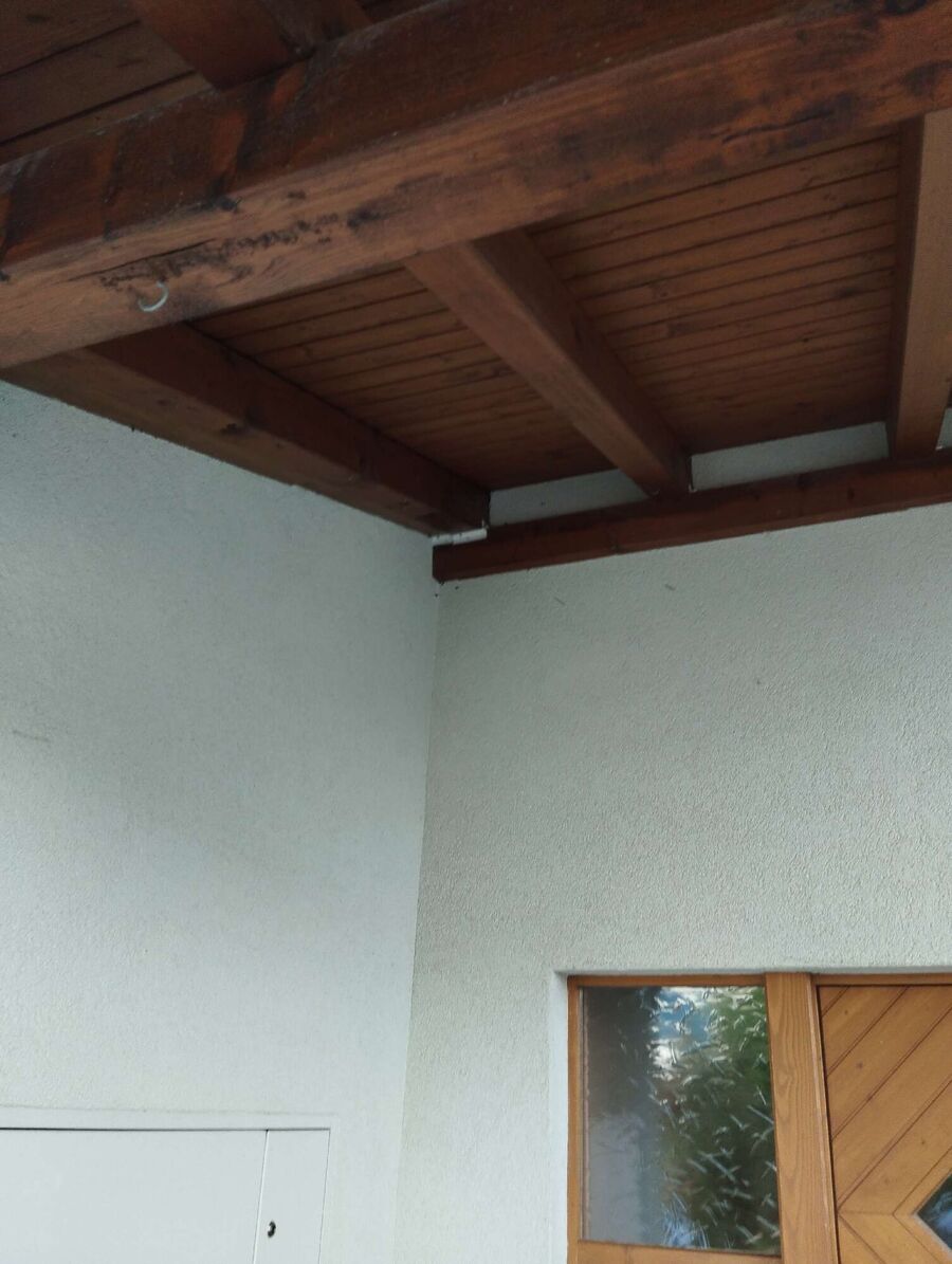 Bee nest at the house remove