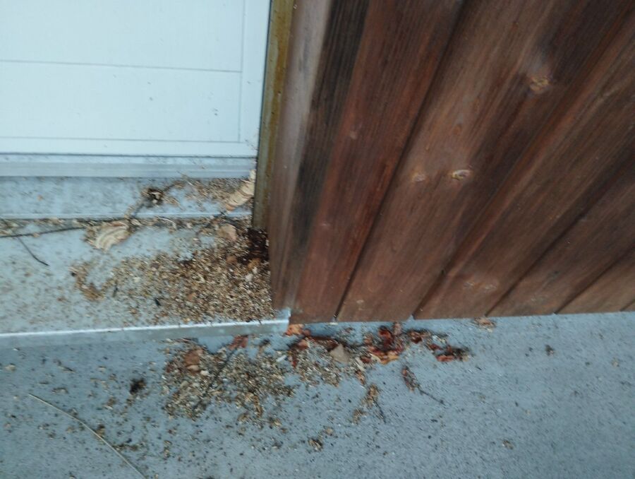 Bee nest at the house remove