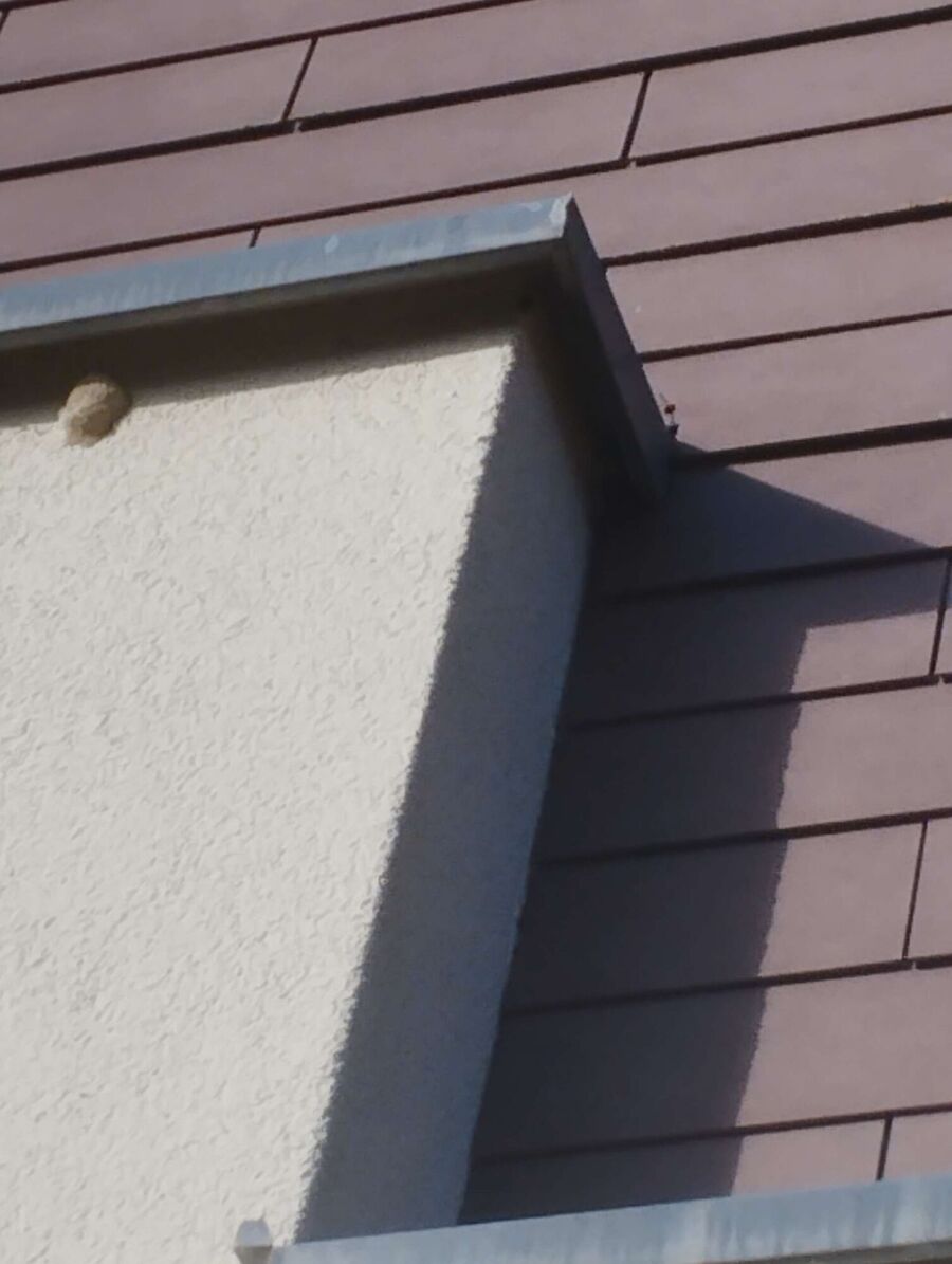 Bee nest at the house remove