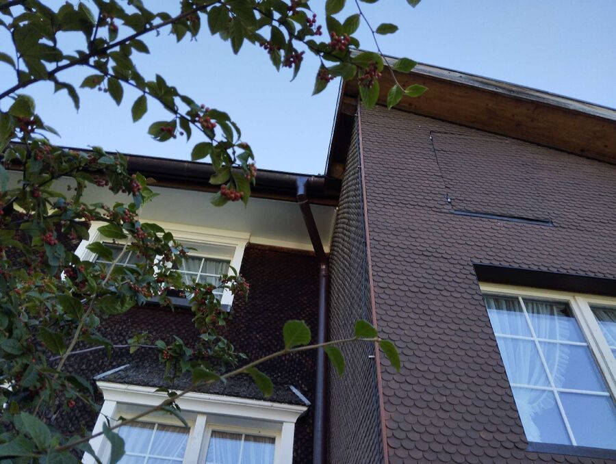 Bee nest at the house remove