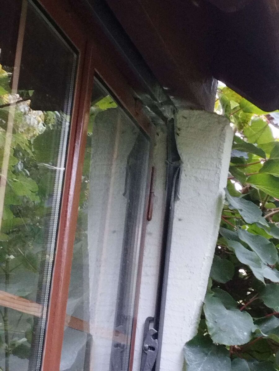 Bee nest at the house remove