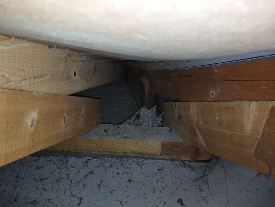 Relocate bees & remove bee nest