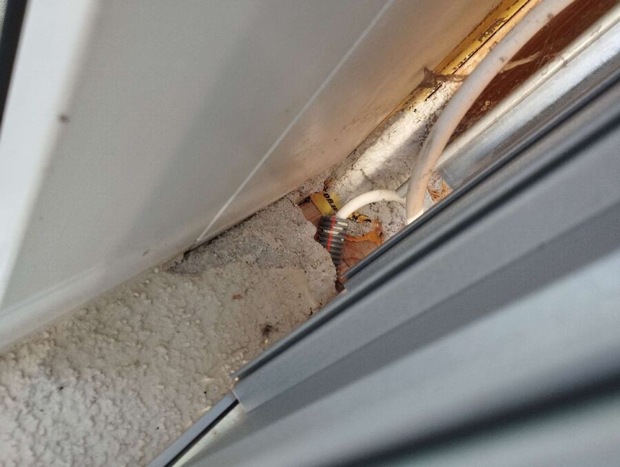 Bee nest at the house remove