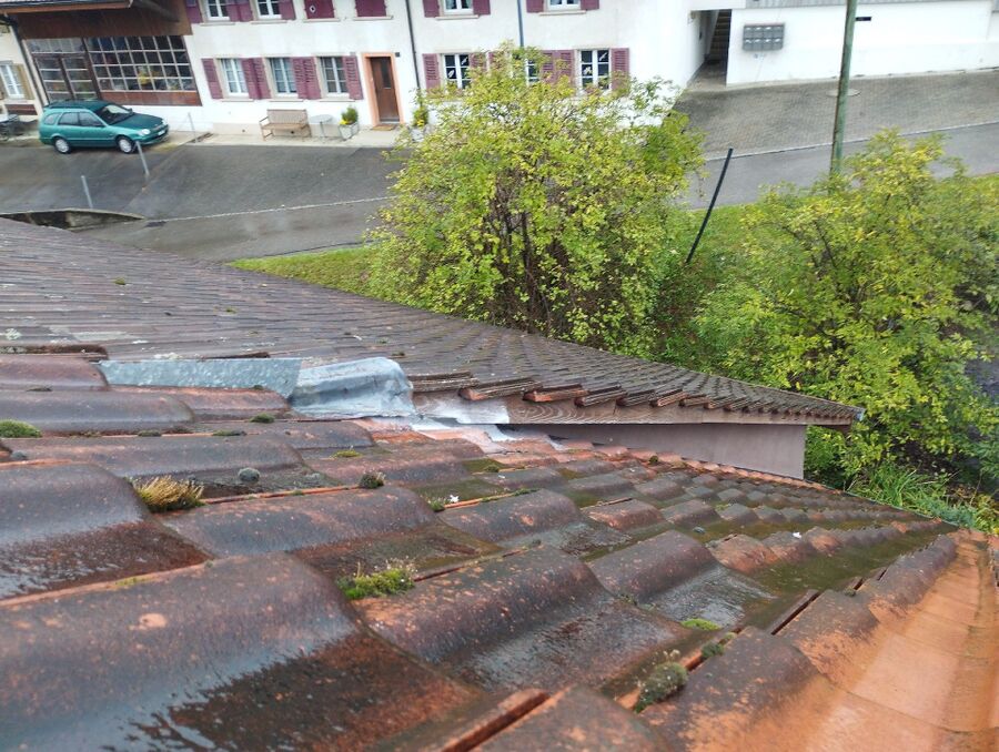 Bee nest at the house remove