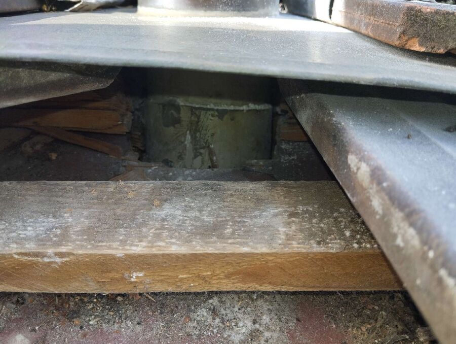 Relocate bees & remove bee nest