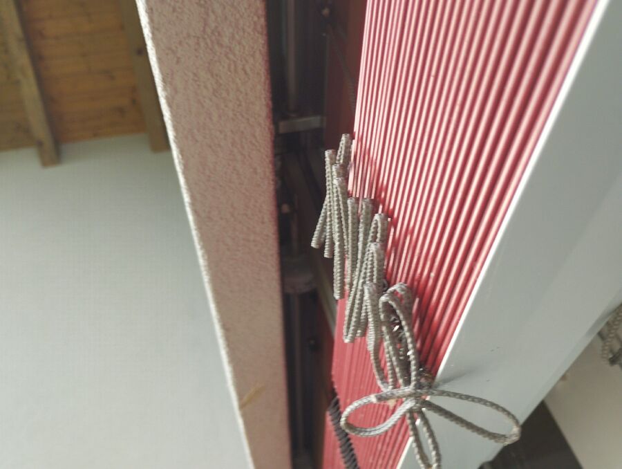 Relocate bees & remove bee nest