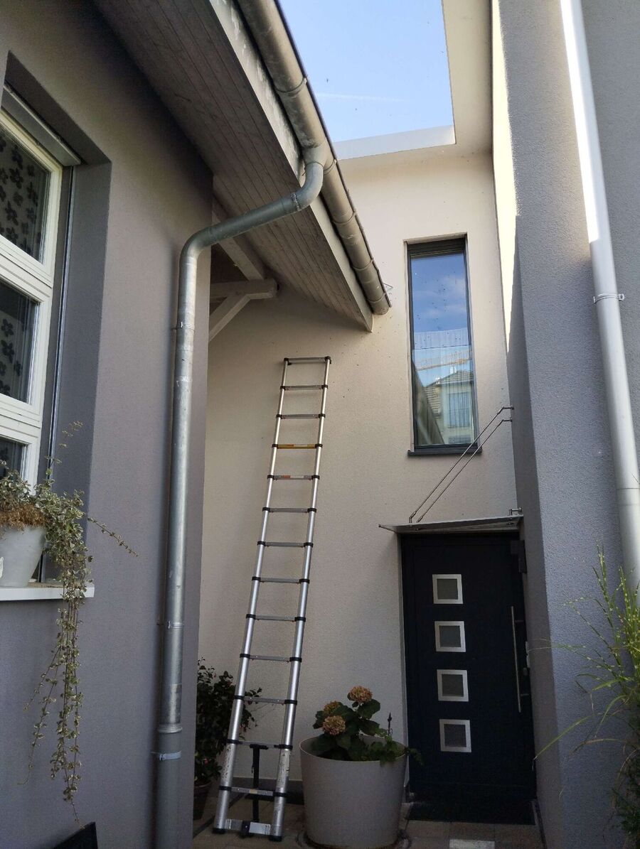 Bee nest at the house remove