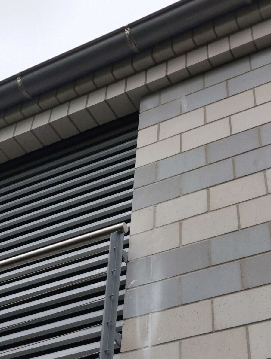 Relocate bees & remove bee nest