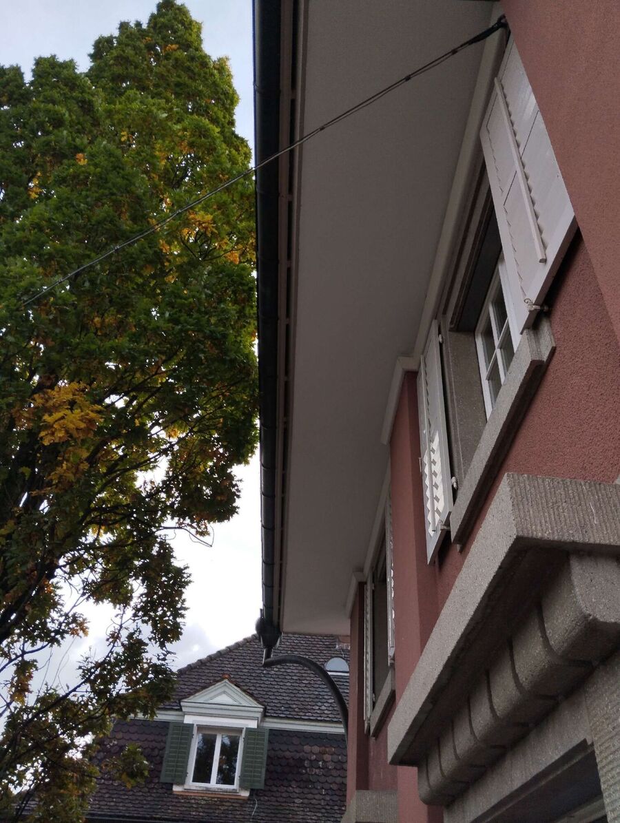 Bee nest at the house remove