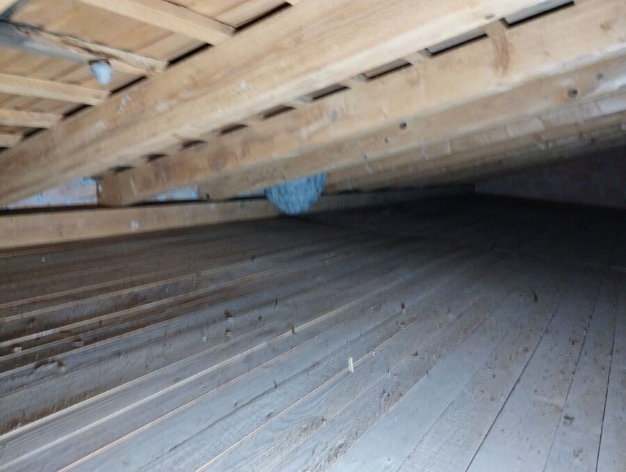 Bee nest at the house remove