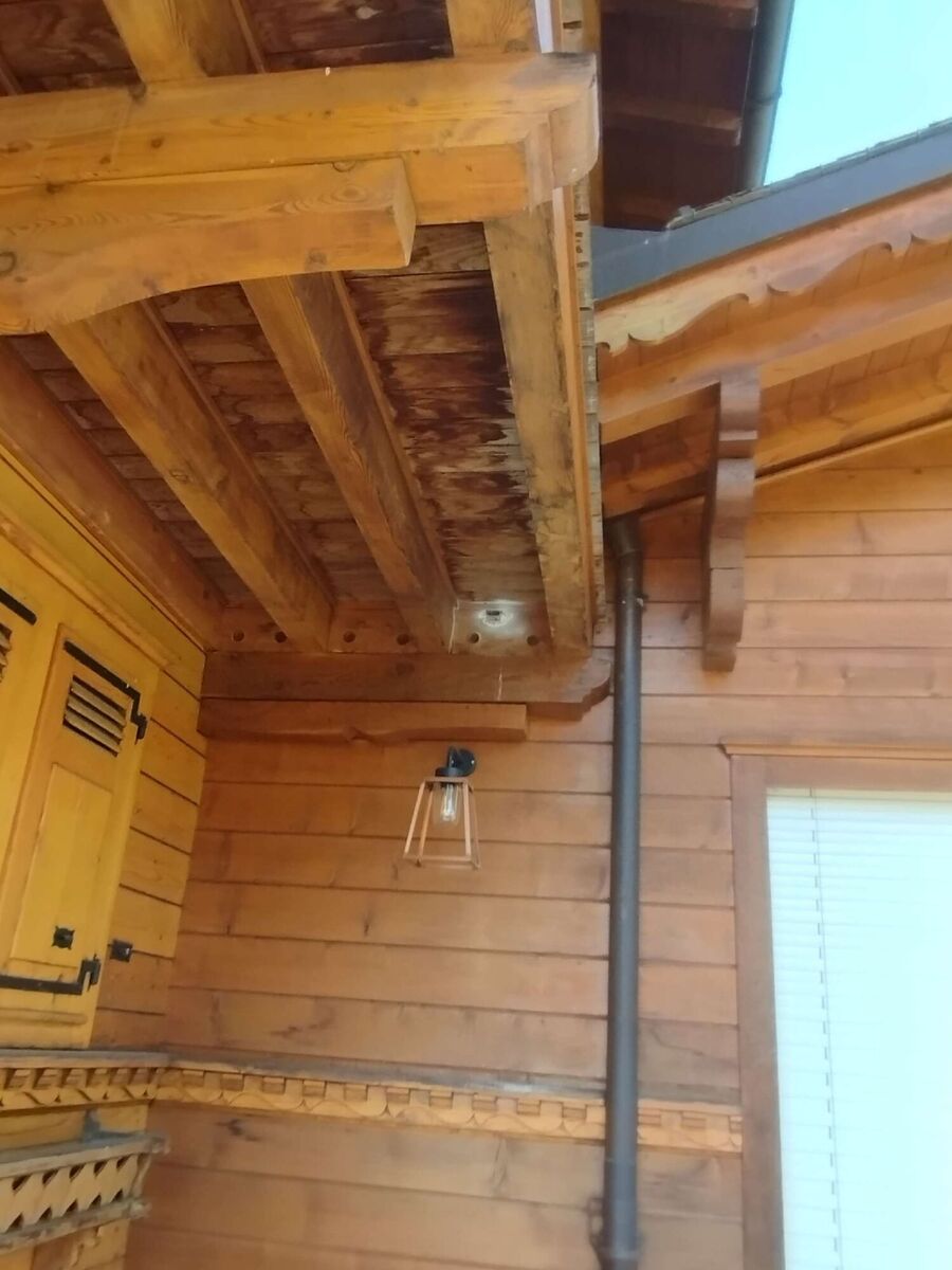 Bee nest at the house remove