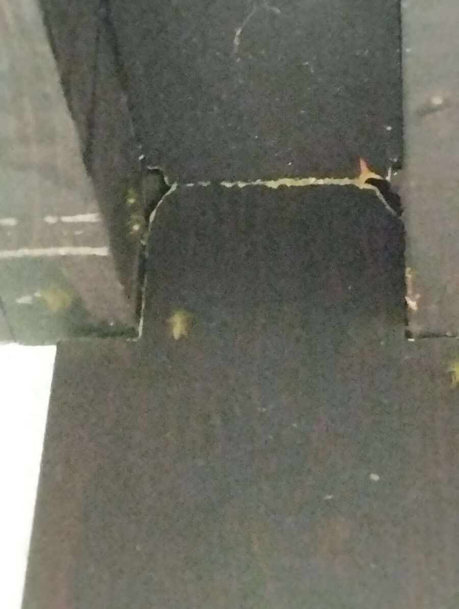 Bee nest at the house remove