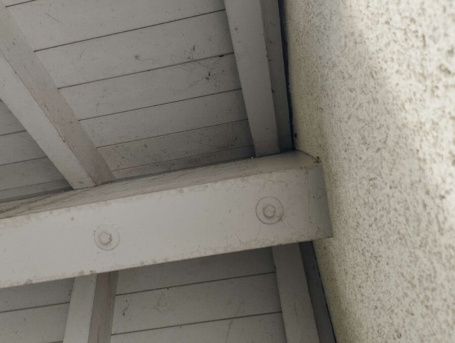 Bee nest at the house remove