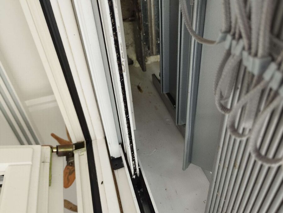 Bee nest at the house remove