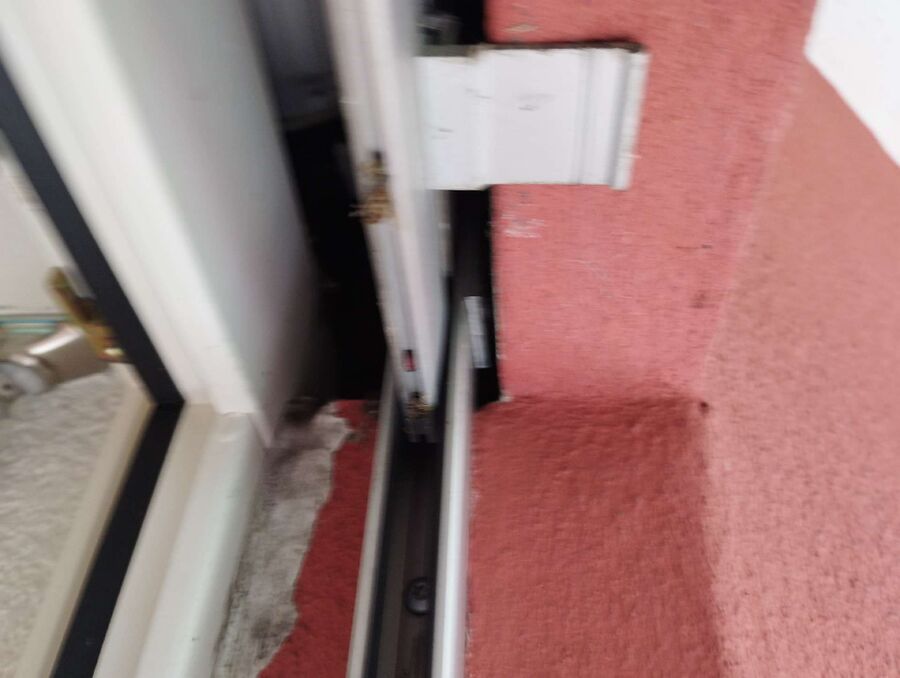 Bee nest at the house remove