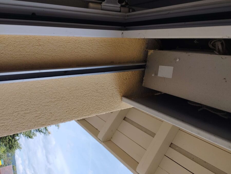 Relocate bees & remove bee nest