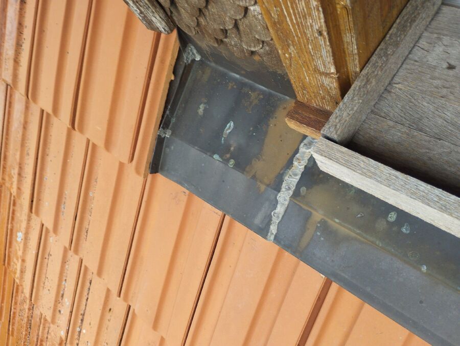 Relocate bees & remove bee nest