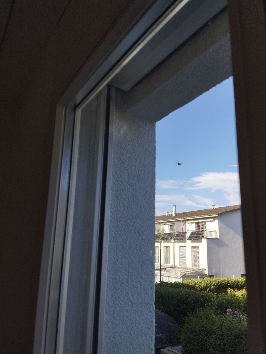 Bee nest at the house remove