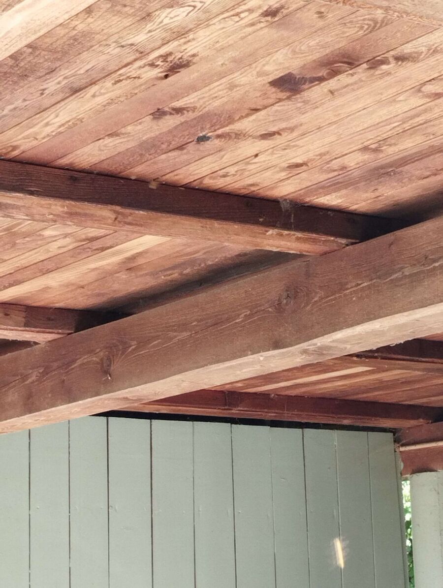 Relocate bees & remove bee nest