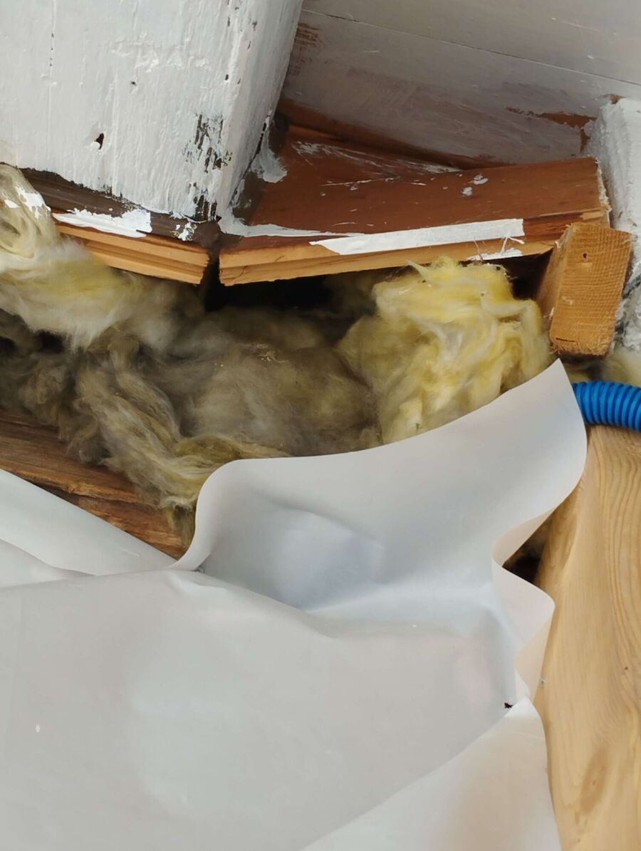 Relocate bees & remove bee nest