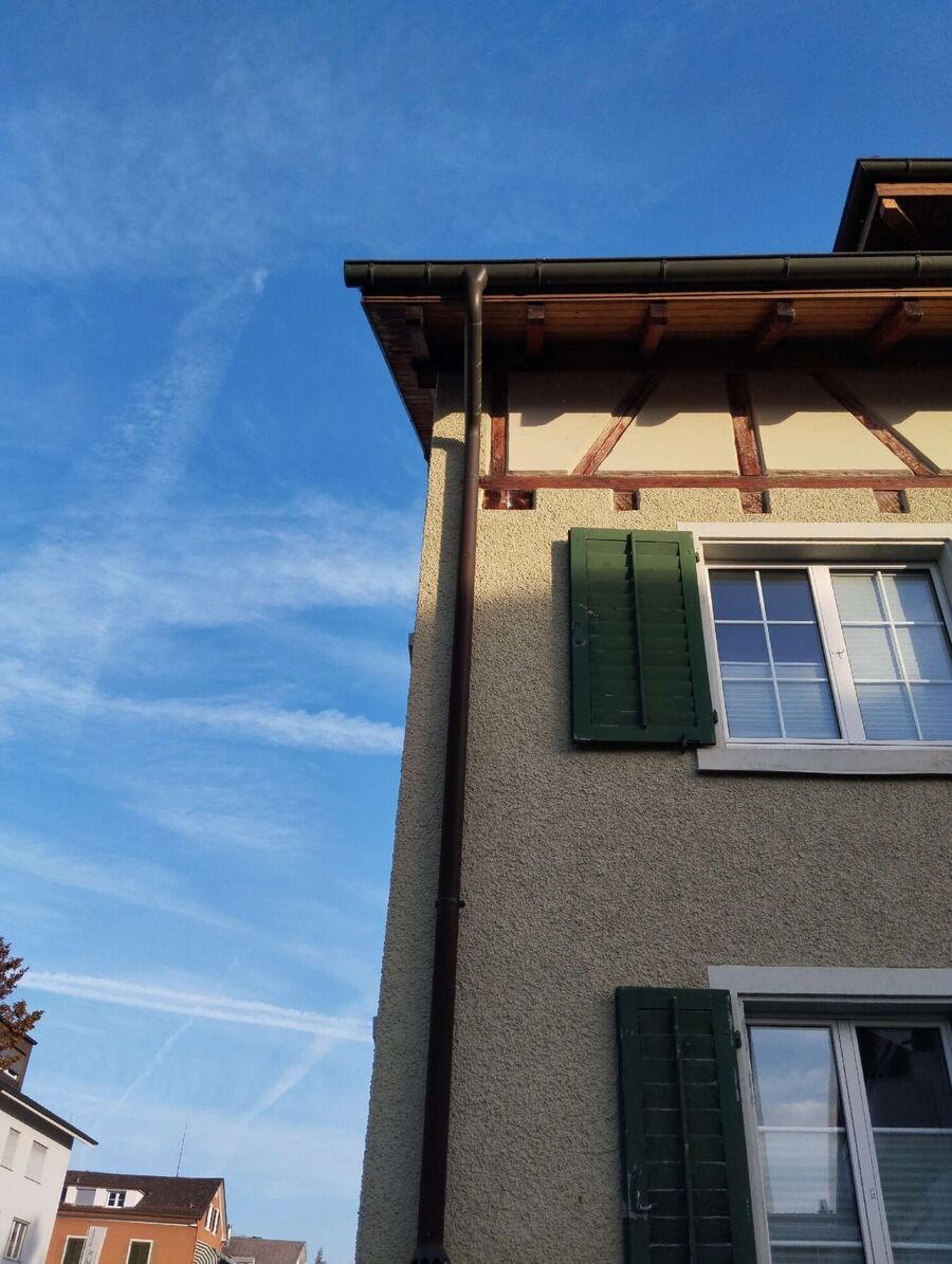 Bee nest at the house remove