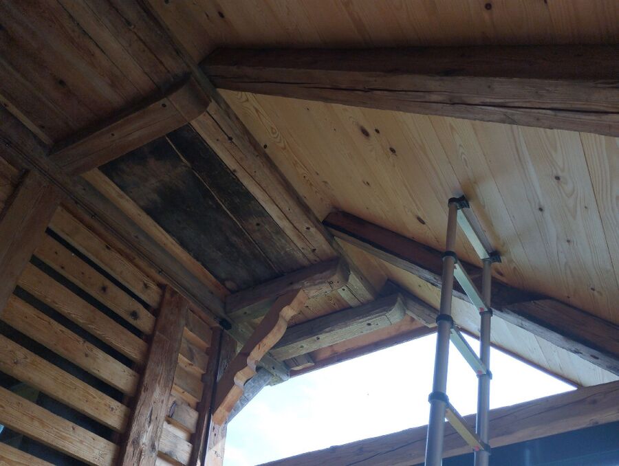 Relocate bees & remove bee nest