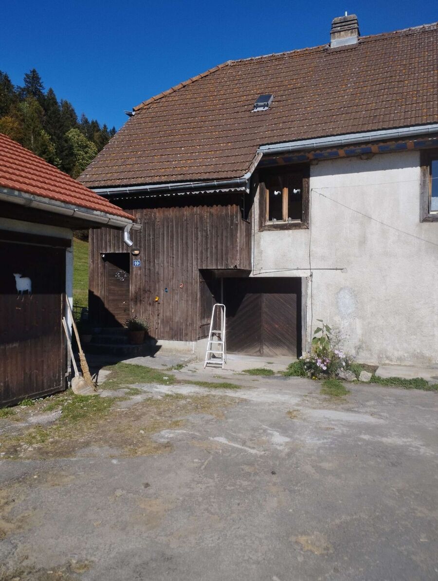 Bee nest at the house remove