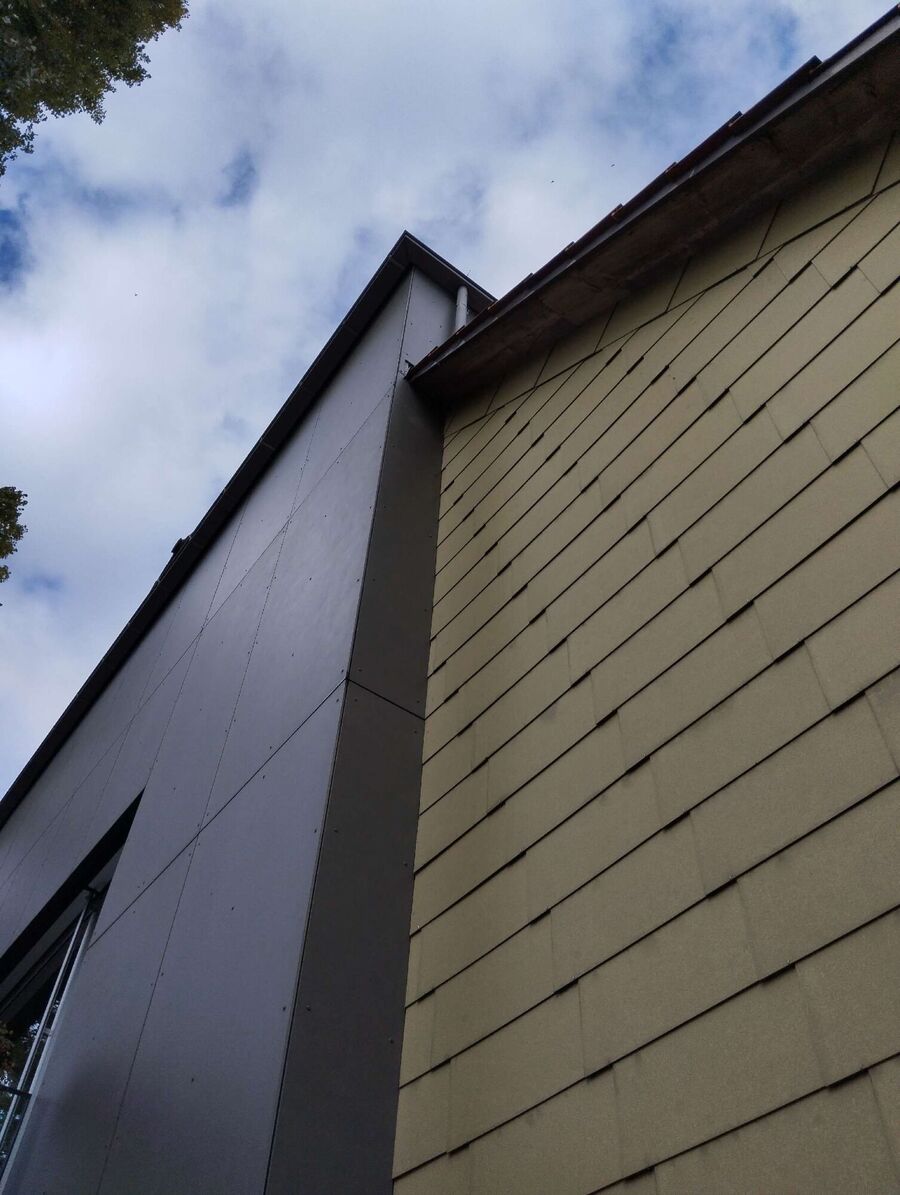 Relocate bees & remove bee nest