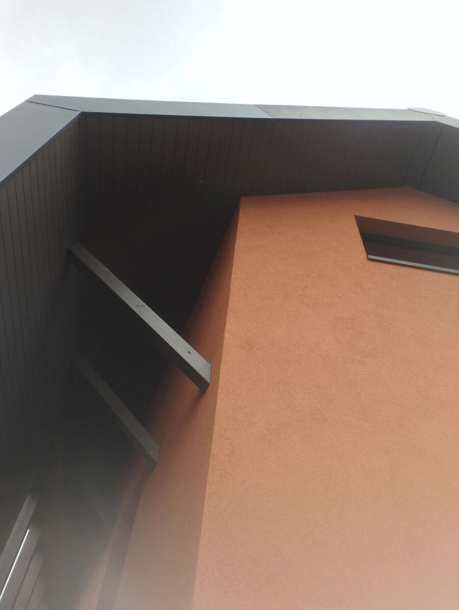 Bee nest at the house remove