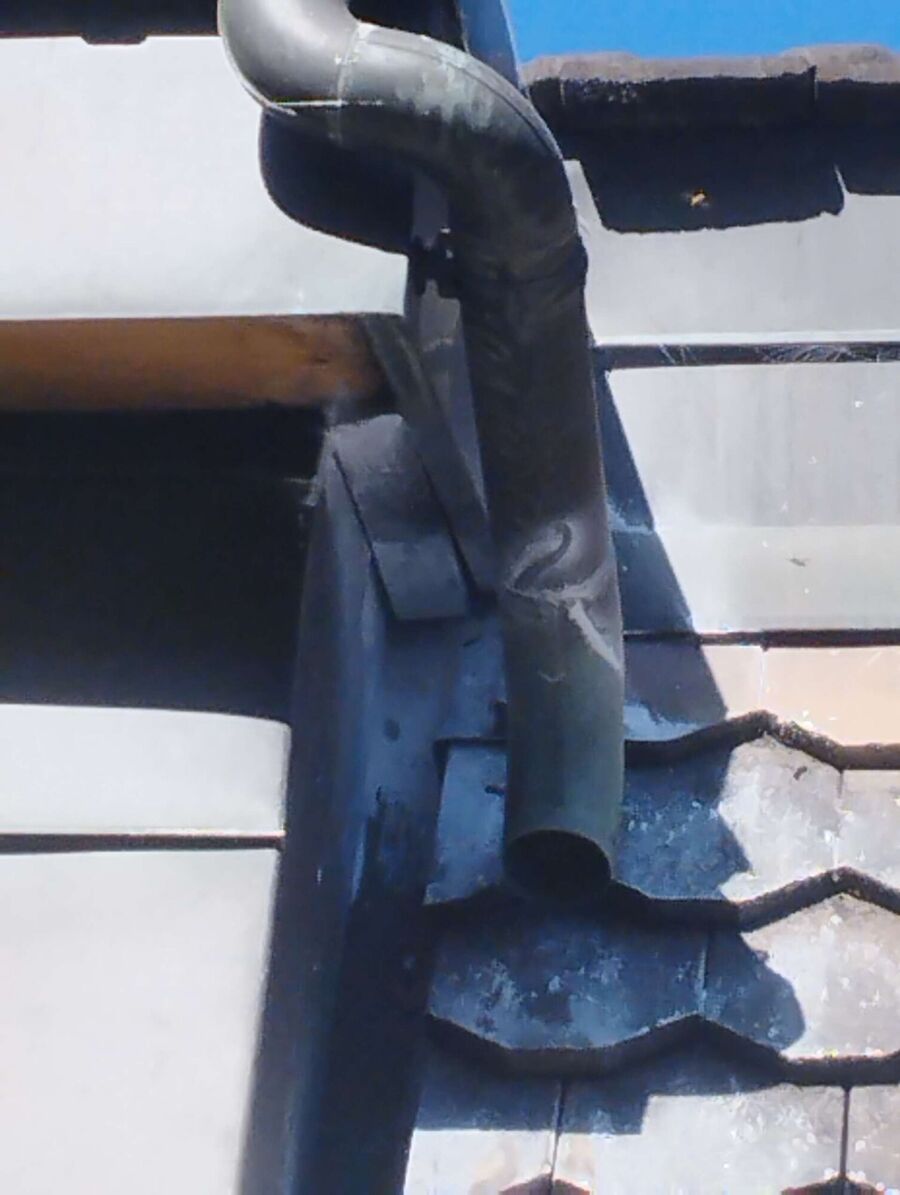 Bee nest at the house remove