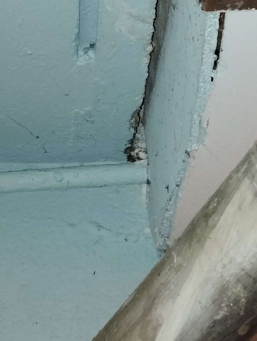 Bee nest at the house remove