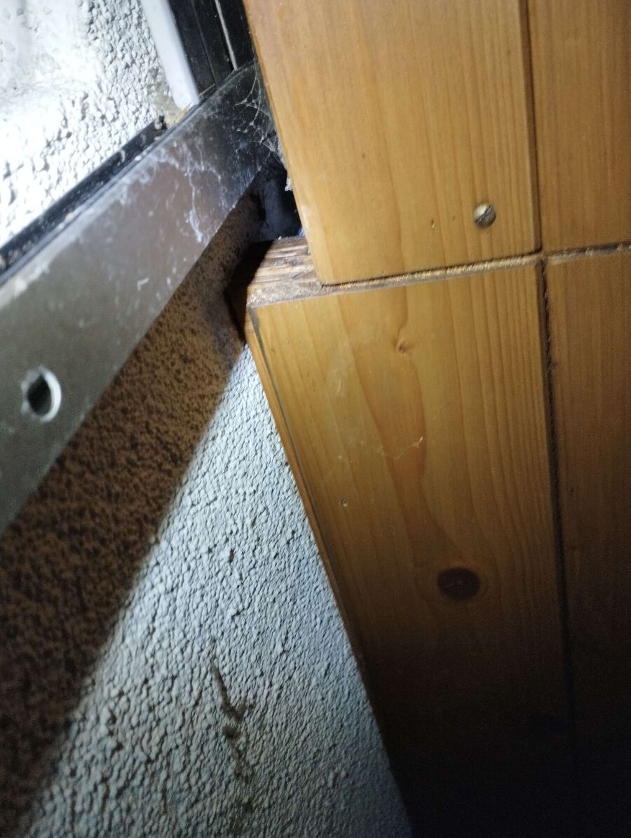 Bee nest at the house remove