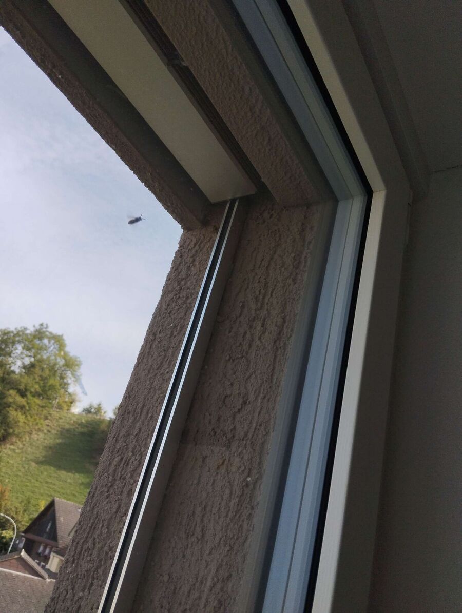 Bee nest at the house remove