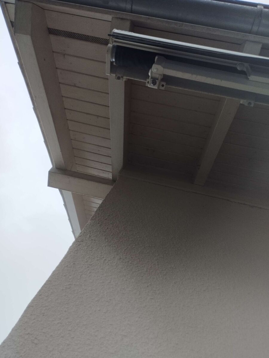 Relocate bees & remove bee nest